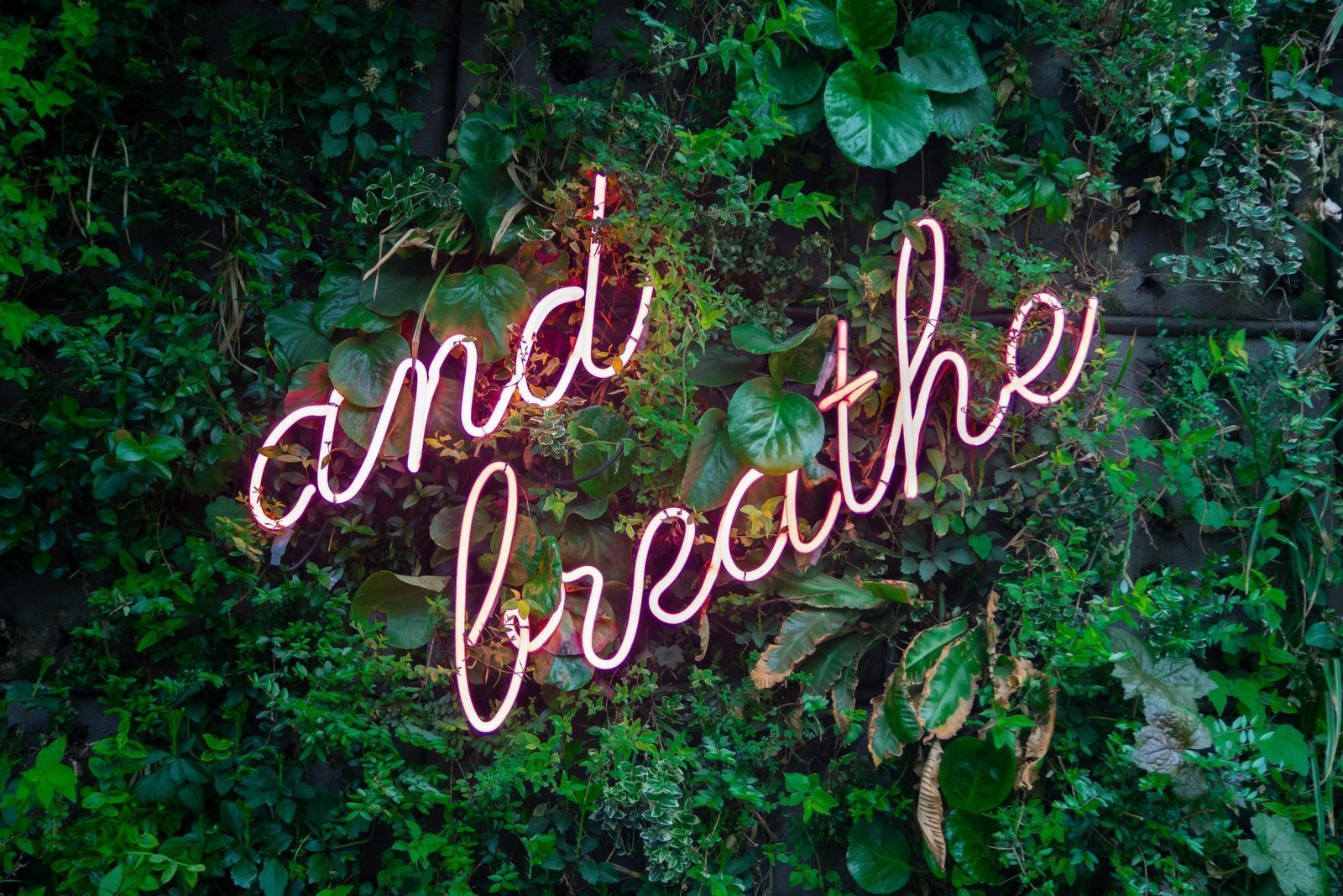 Understanding And Calming The Anxious Mind by Carly Alleway, Psychologist
