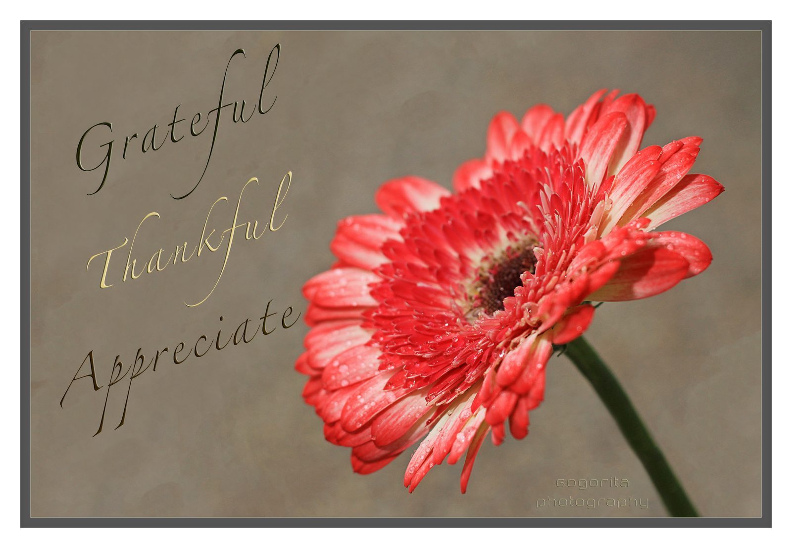 SAYING THANKS