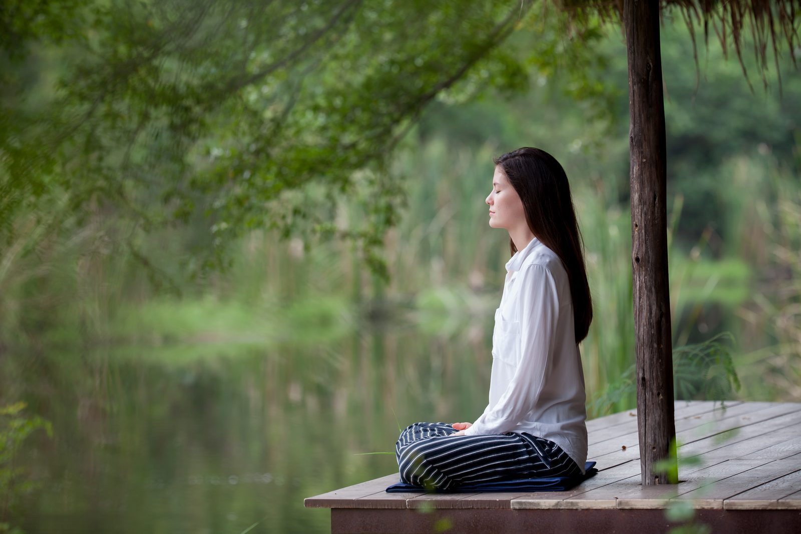 Making Mindfulness Meditation Habit By Shannon Moule, Clinical Psychologist, Zest Infusion