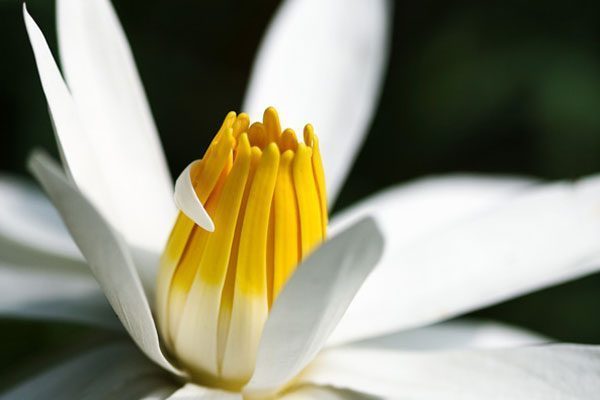 Gogorita photography