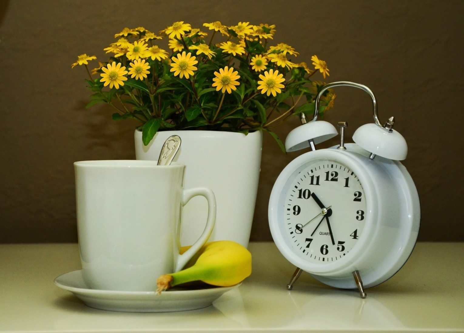 Dietary Analysis – Intermittent Fasting, by Tania Logan, Dietitan and Diabetes Educator