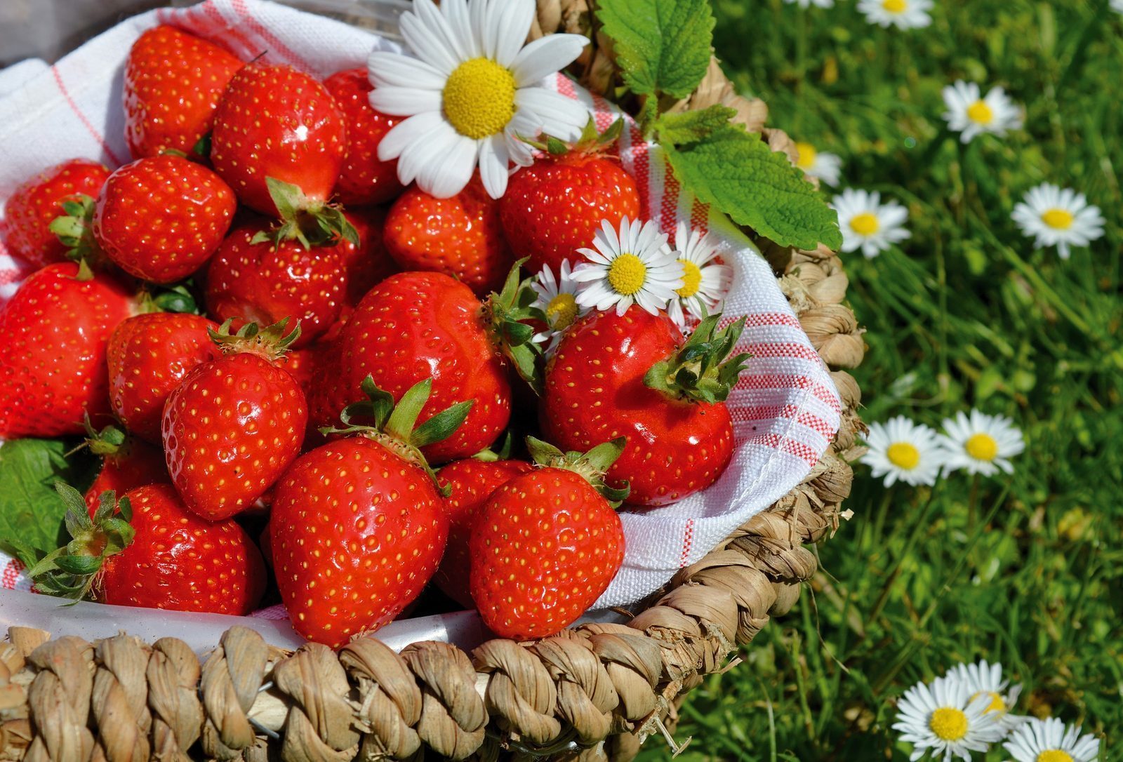 Beyond COVID-19 – Healthy Eating Tips by Tania Logan, Dietitian and Diabetes Educator