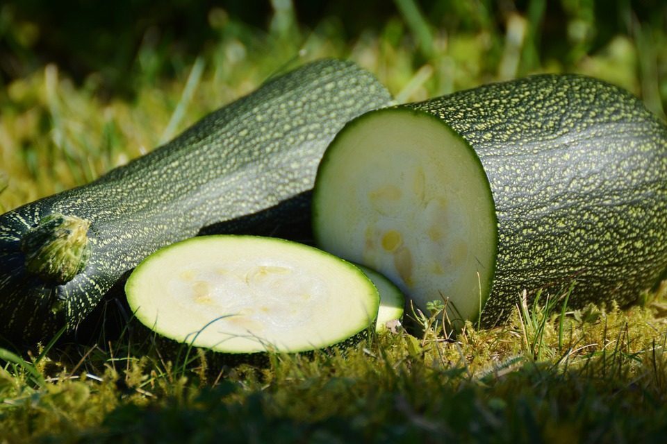 Zucchini slice – by Tania Logan, Dietitian and Diabetes Educator