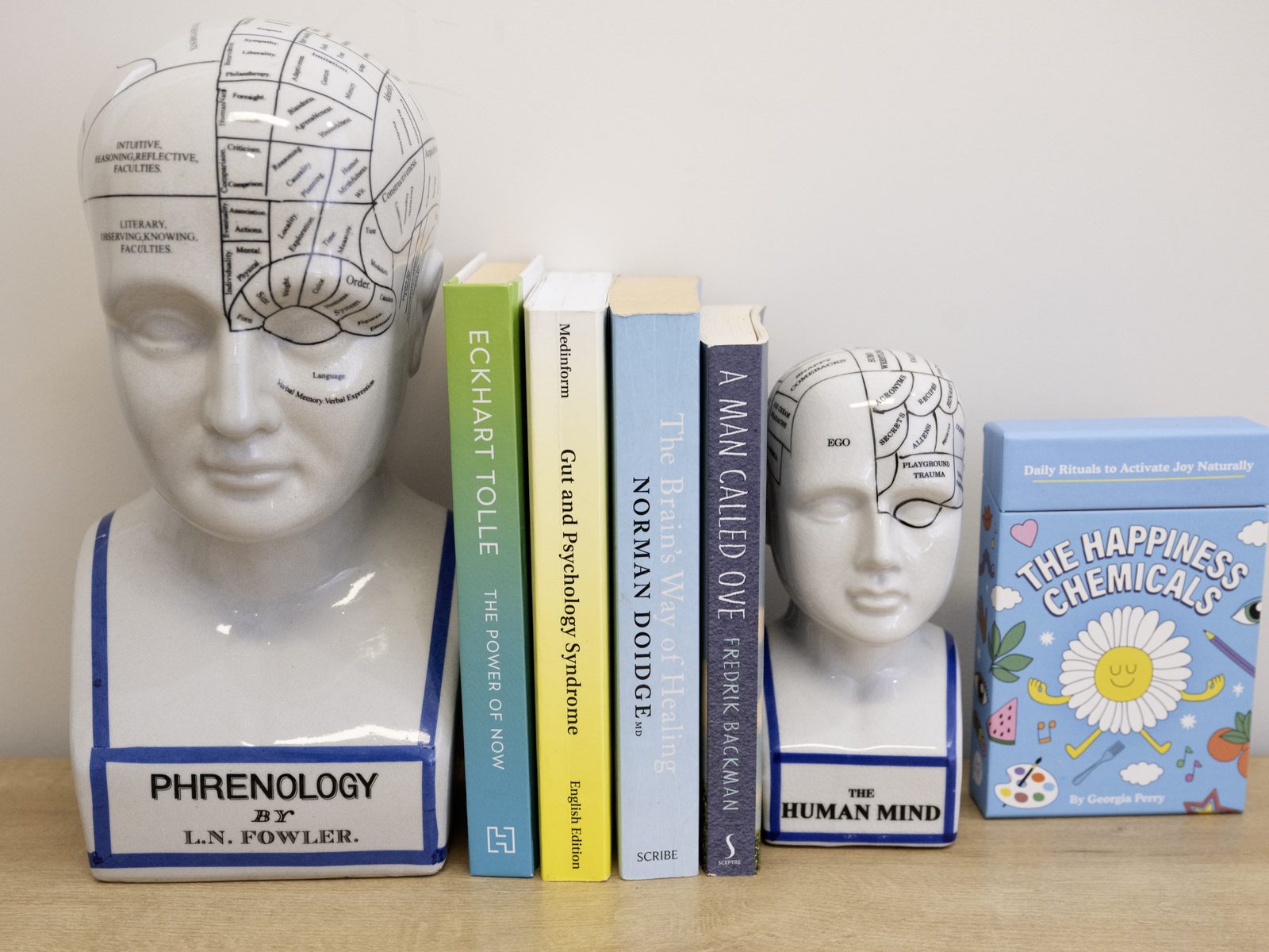Phrenology-bust bookends holding psychology books on a shelf