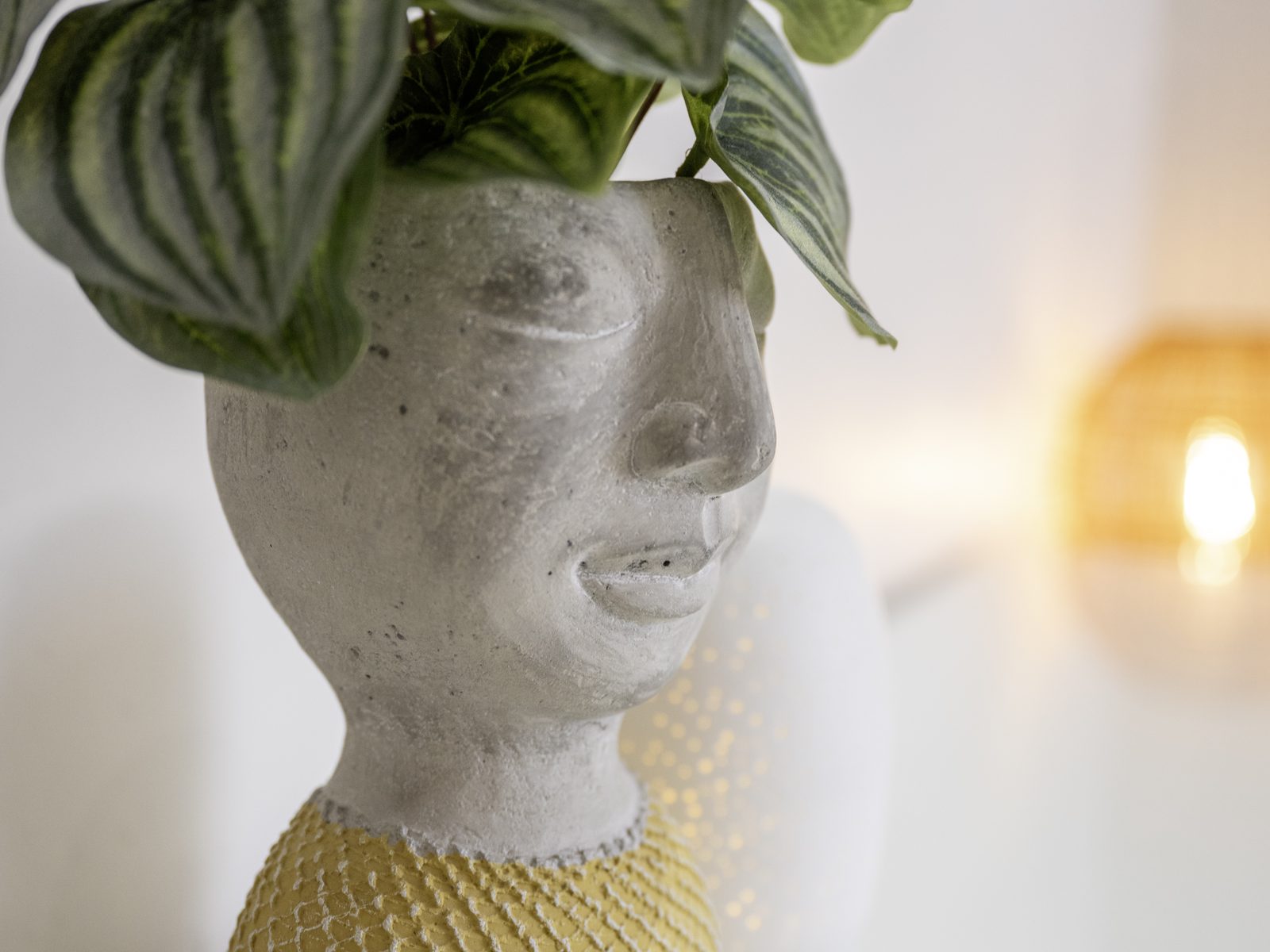 A smiling face planter with trailing greenery in warm lamplight
